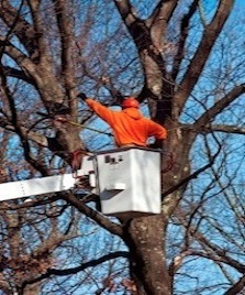 cherrypicker
