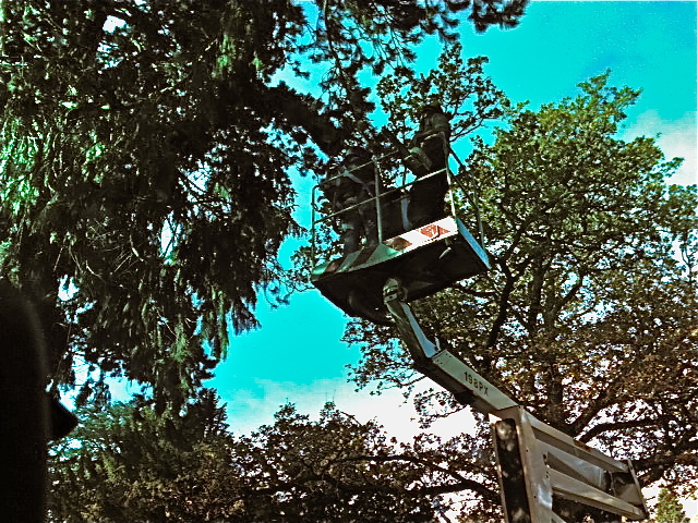 cherrypicker_1