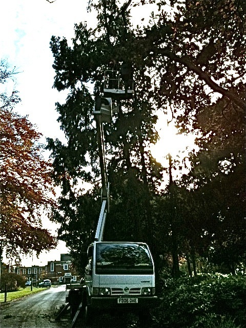 cherrypicker_2