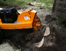 stump_removal